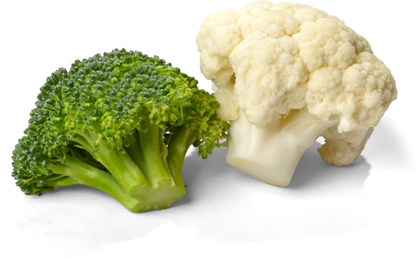 Fresh Broccoli and Cauliflower - Isolated